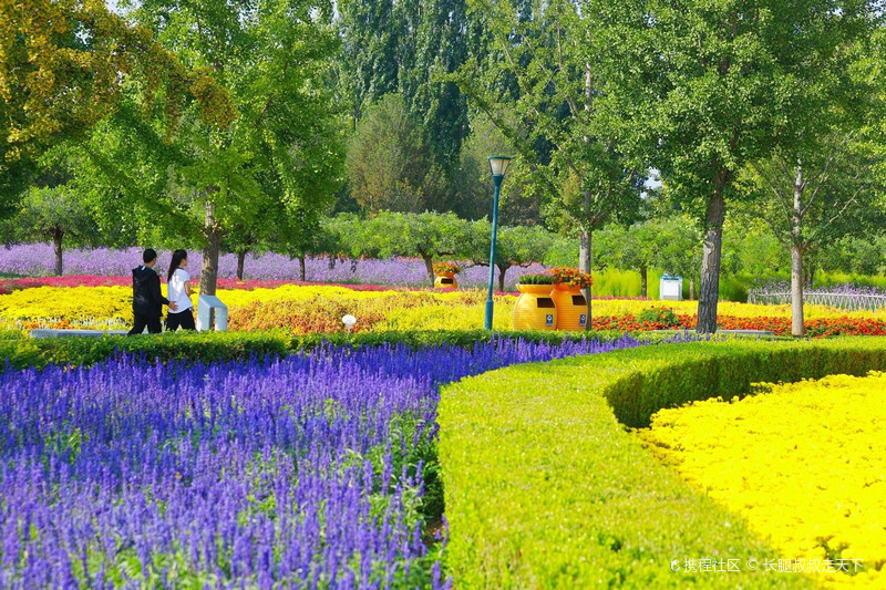 北京国际鲜花港