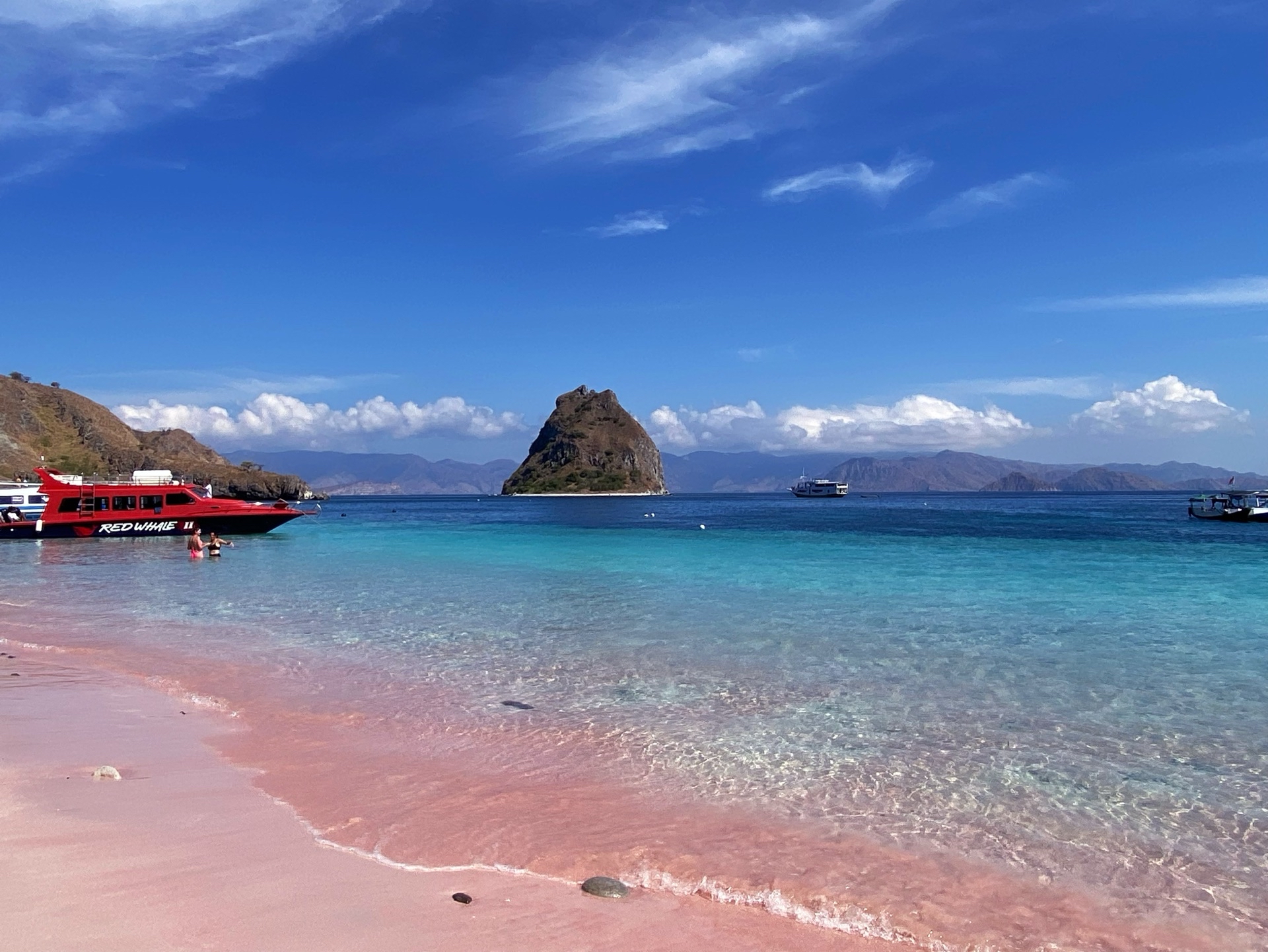 一定要去印尼科莫多岛看龙和追魔鬼鱼啊！粉色沙滩超值！