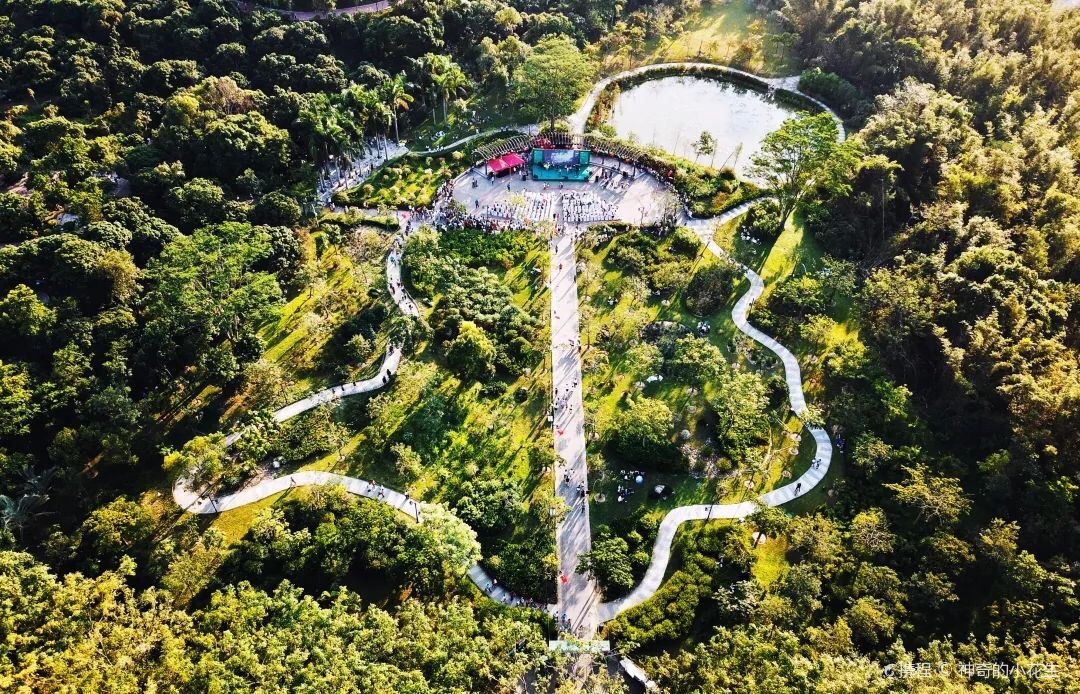 大屏嶂森林公园