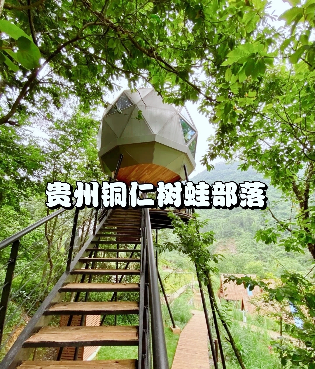 贵州铜仁树蛙部落住进童话木屋
