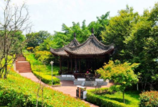 白鹤森林公园景点图片