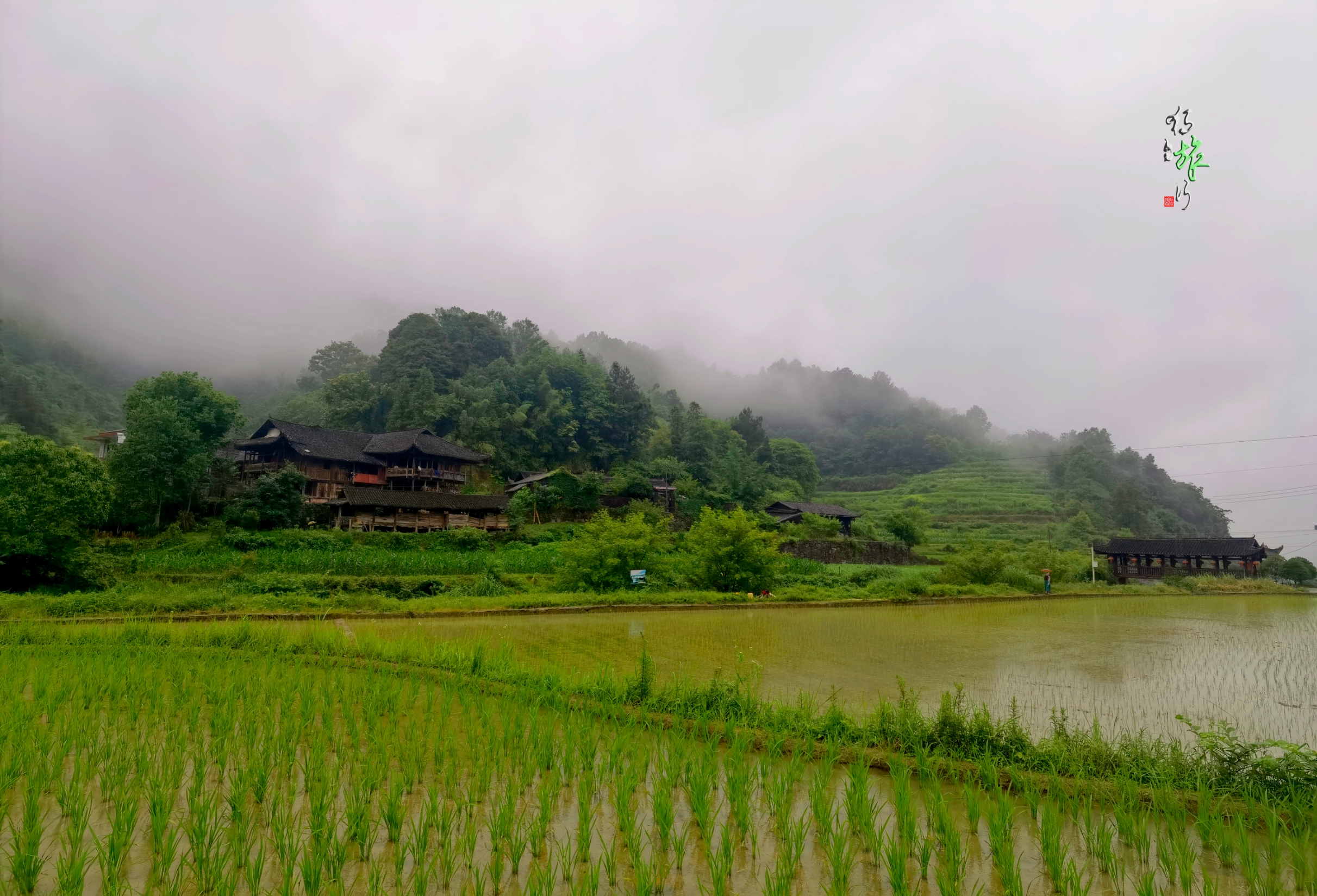 寻访传统村落之烟雨伞家湾