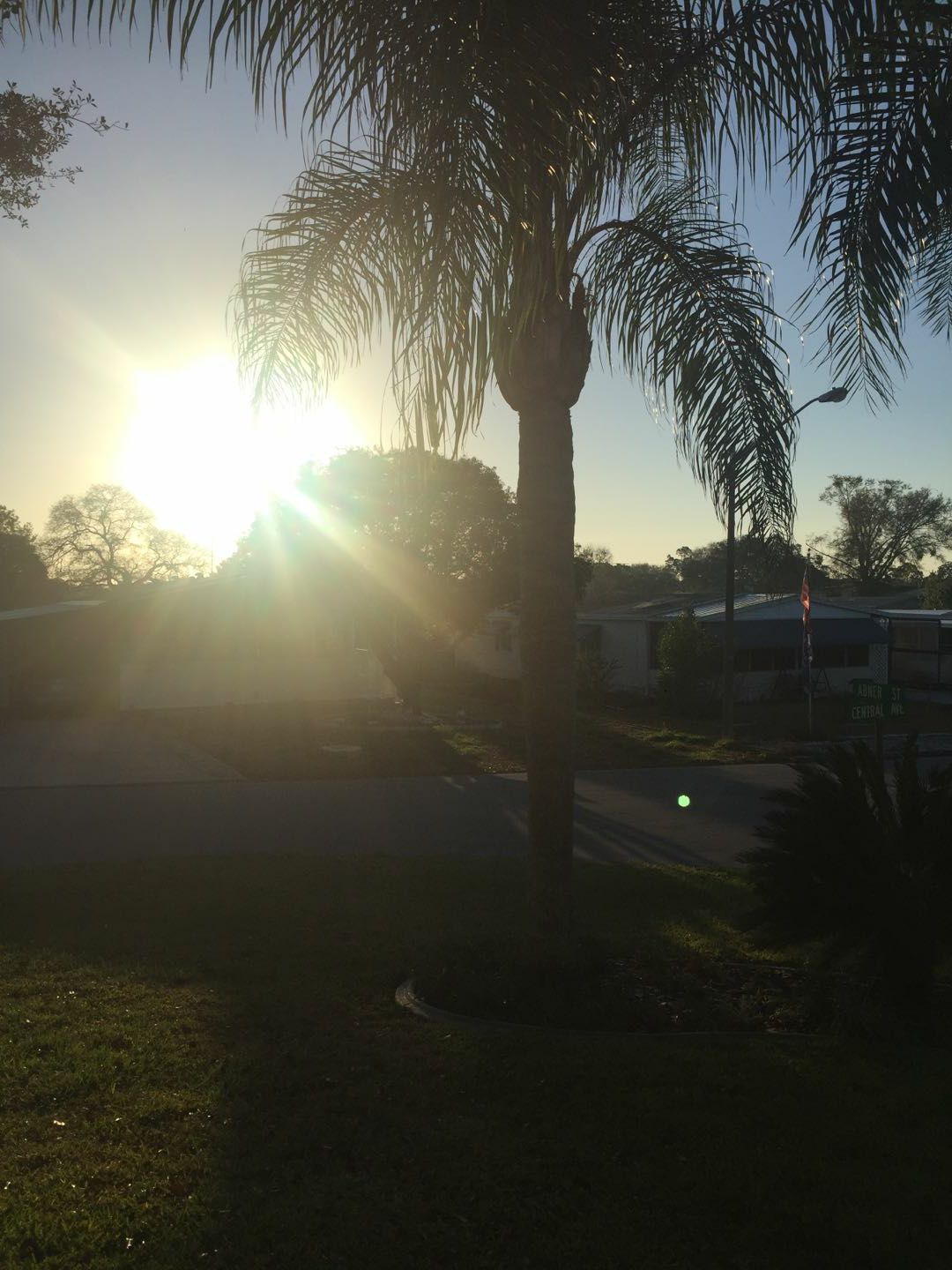 美国弗罗里达，最想要的生活，最念夕阳下那那颗棕榈树。