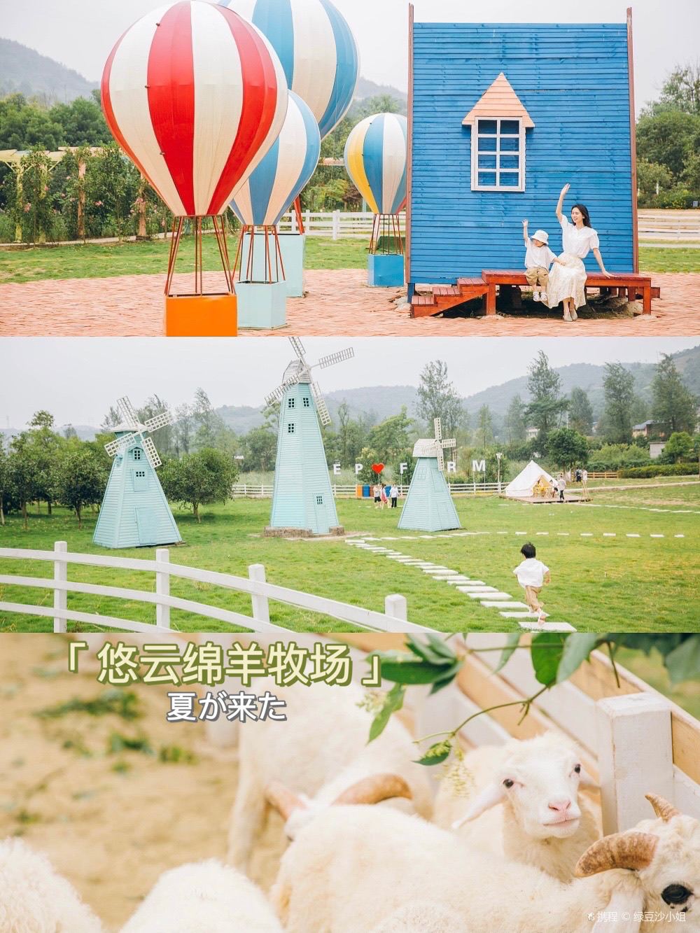 重庆济州岛同款绵羊牧场🐑遛娃拍照打卡