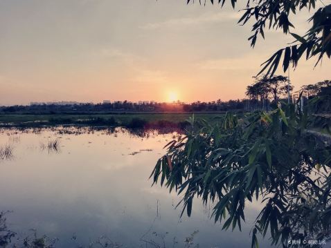 昌学村