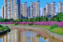 苌弘广场景点图片
