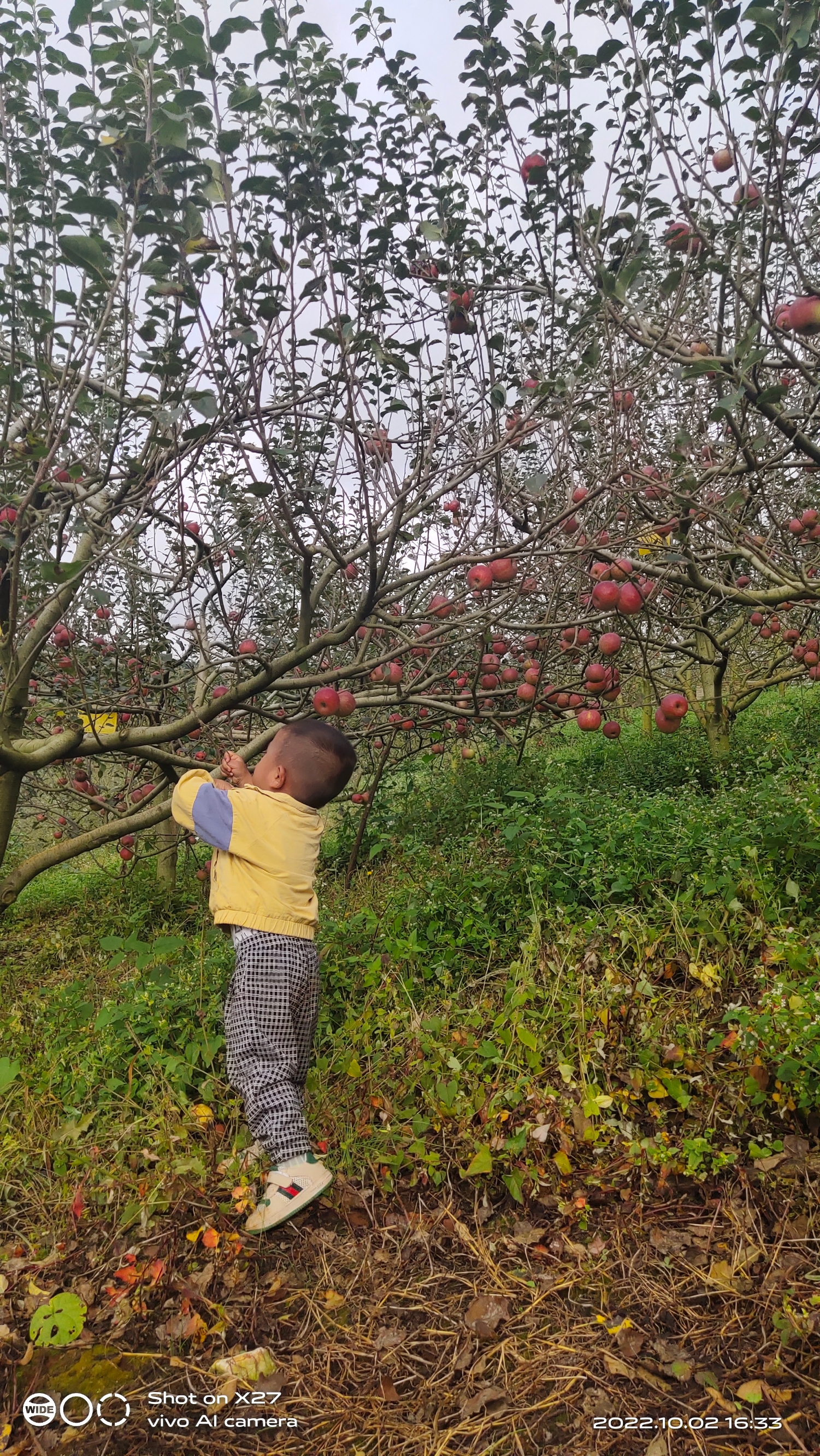 国庆长期就到蒙自西北勒观景台看风景 吃苹果