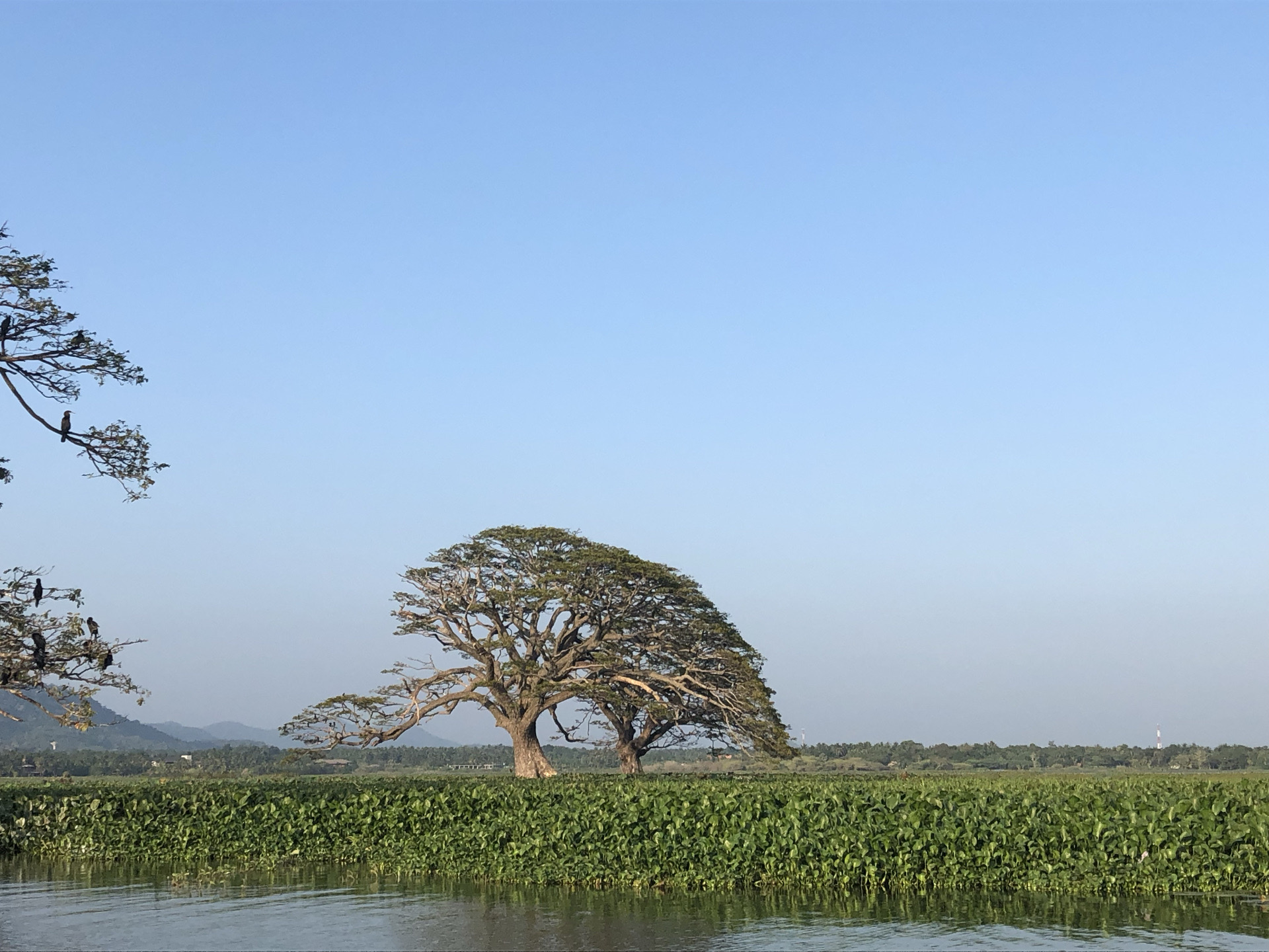 斯里兰卡湿地保护区