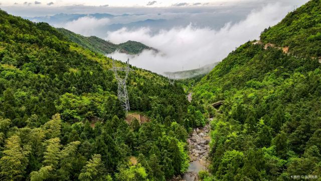 括苍山国家森林公园