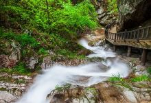 桃花冲森林公园景点图片