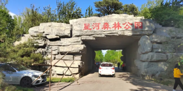 星河森林公園