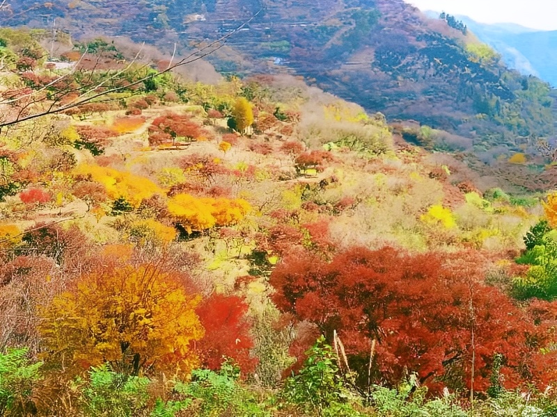 宁波四明山