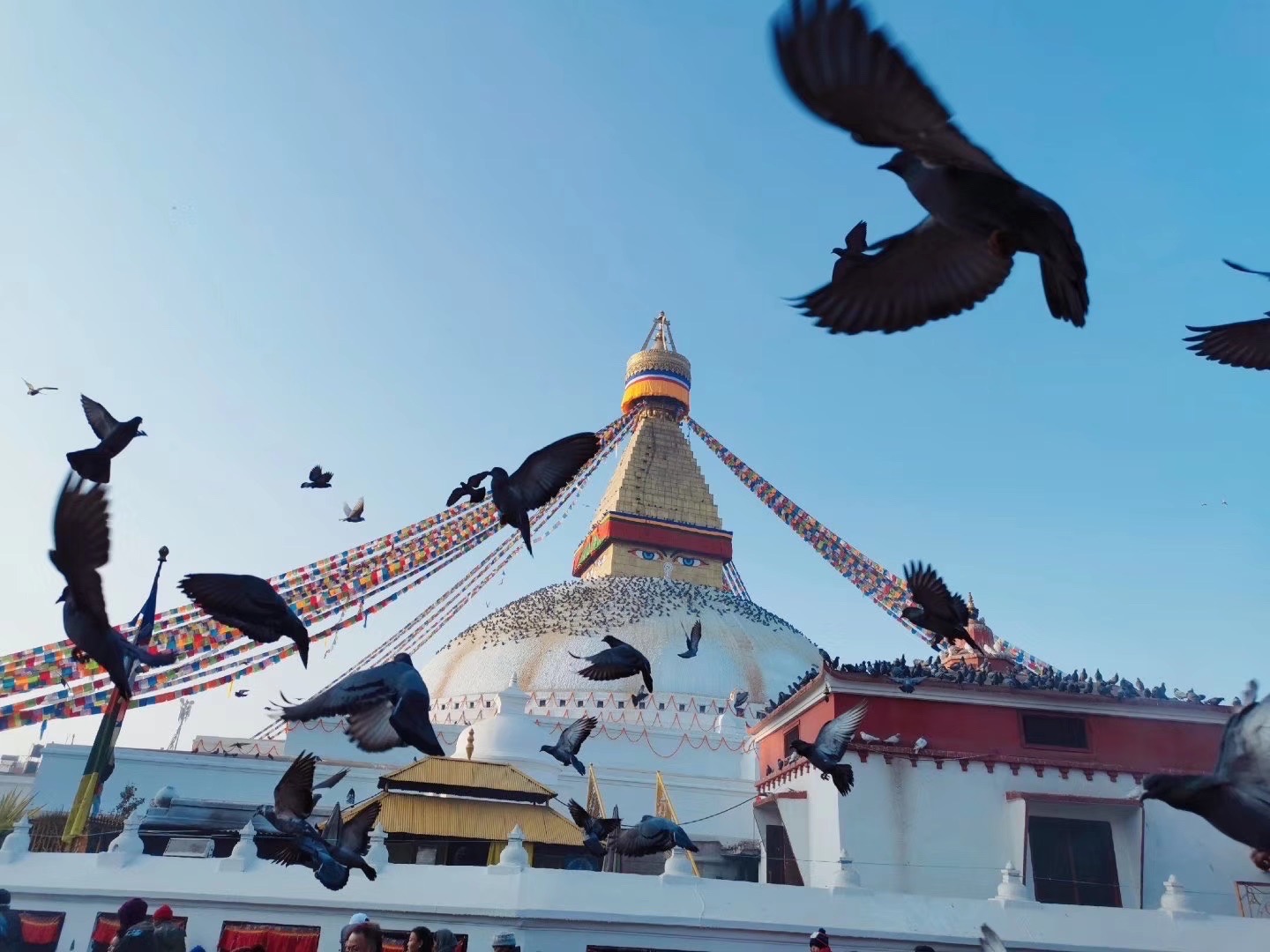 博达哈大佛塔   💗推荐理由： 是世界文化遗产之一，是世界最大的覆钵体半圆形佛塔。 是尼泊尔藏传佛教