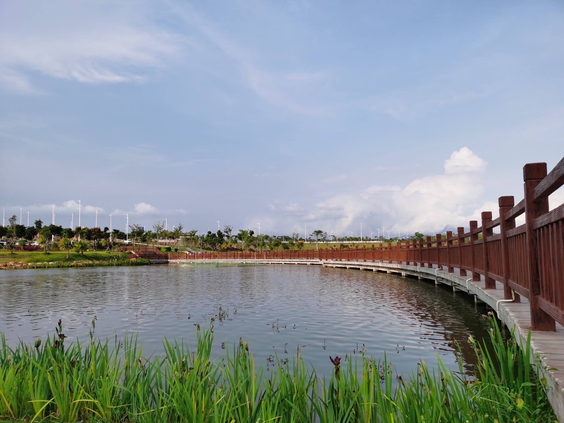 金星湖湿地公园