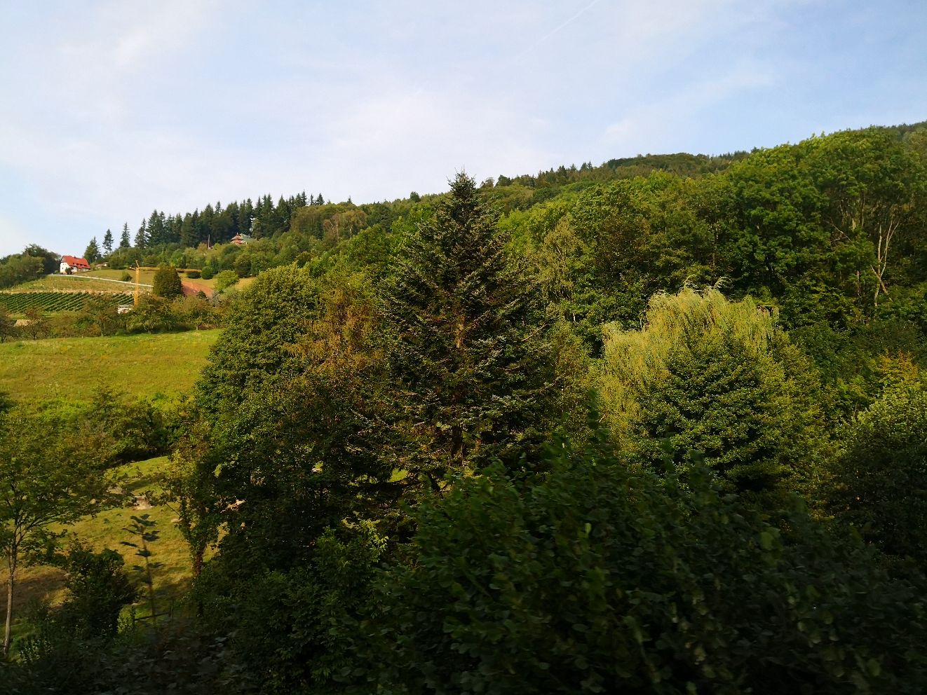 黑森林南部的沿途风景，树林不再相连成片，景色风格逐渐接近瑞士的特征，树林间的山坡被开辟成草地牧场，风