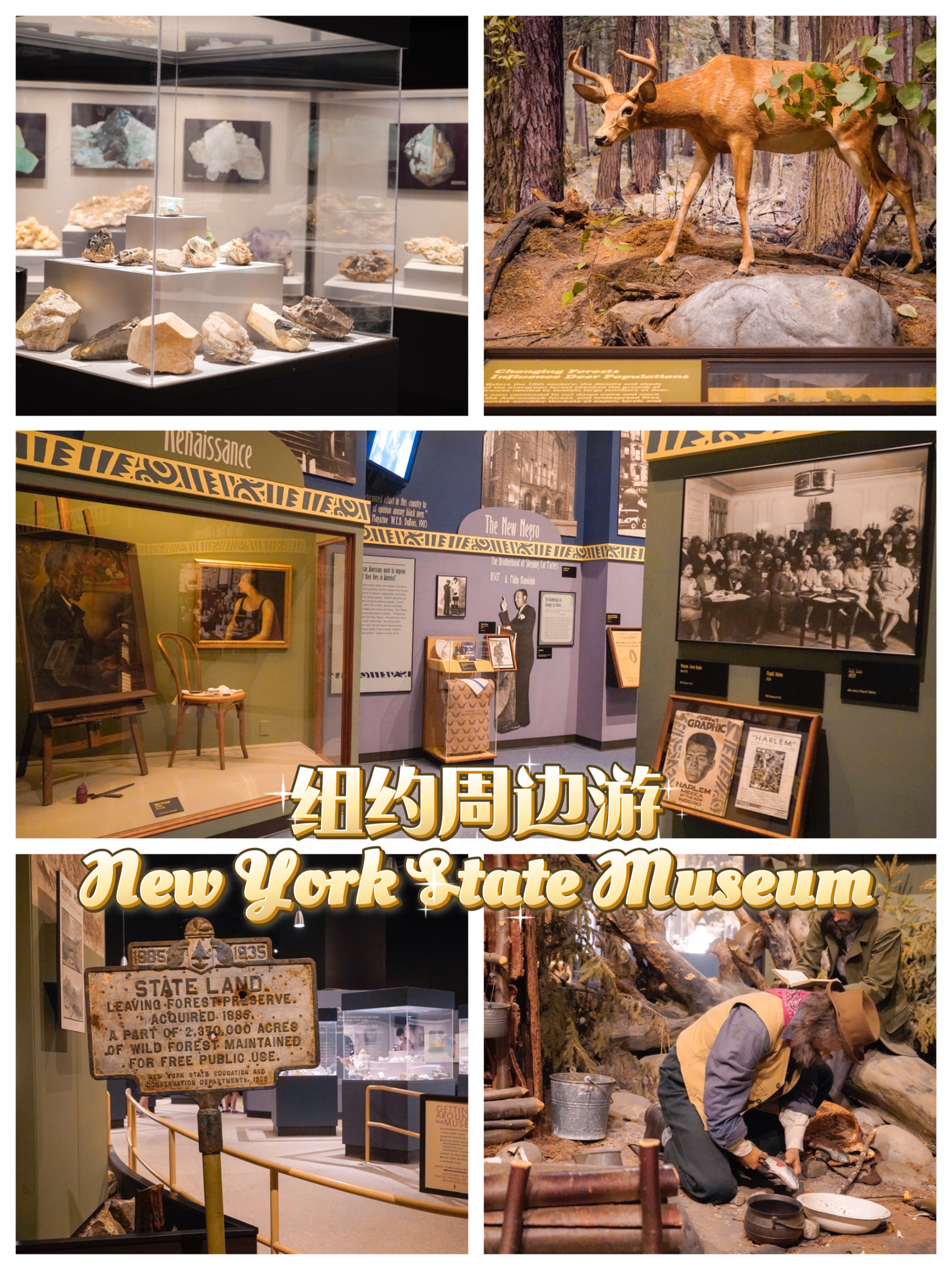 纽约周边游 I 最大的州立博物馆来看展吧