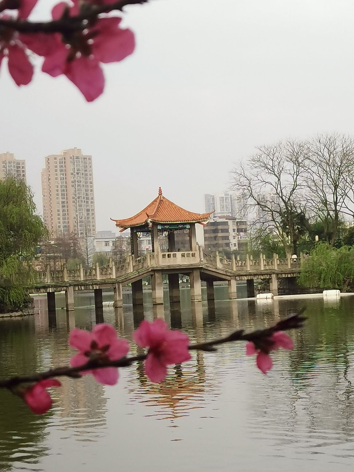 荆州市沙市中山公园春天美如画，樱花、桃花、海棠花一应俱全，在春季的周末带上家人前去踏青，还有滨江公园