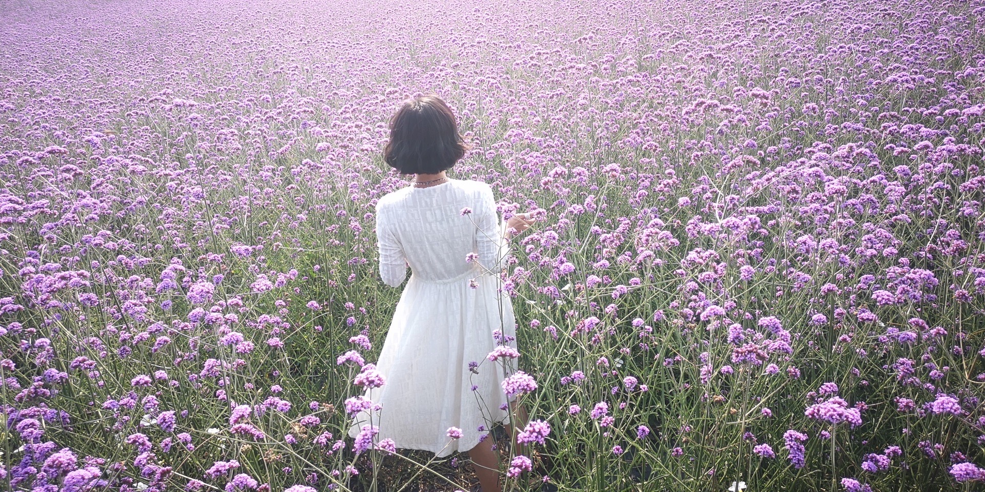 紫颐香薰山谷 超喜欢紫色系的我和同样喜欢看花看草拍摄的老同学相约一起去看薰衣草 特殊时期景区门票优惠