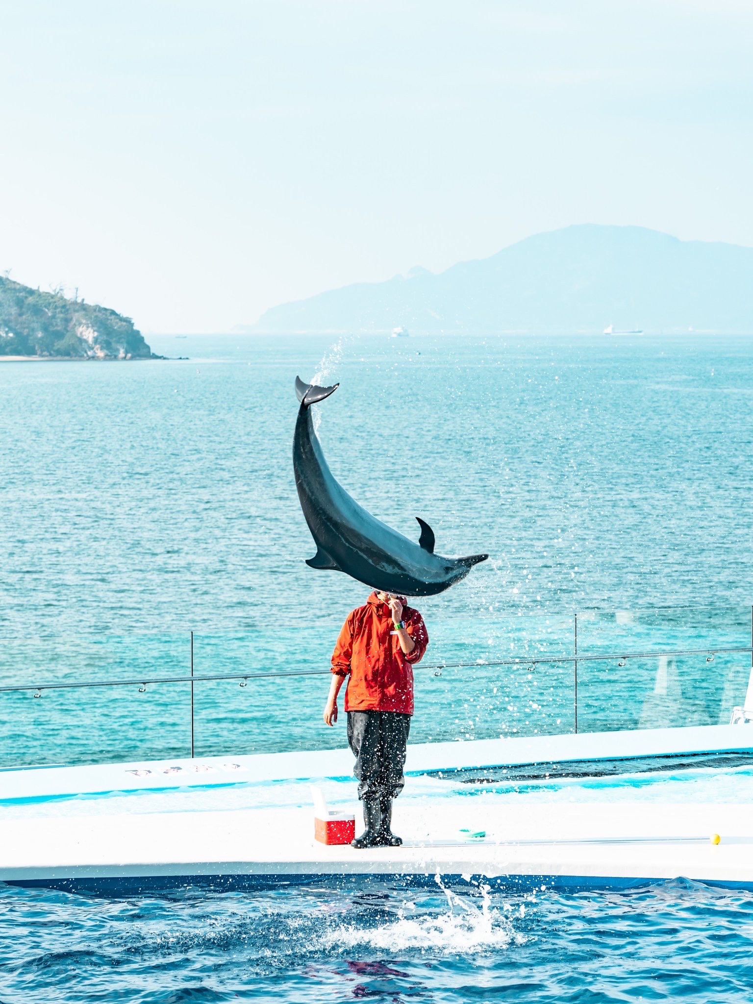 海豚🐬和人