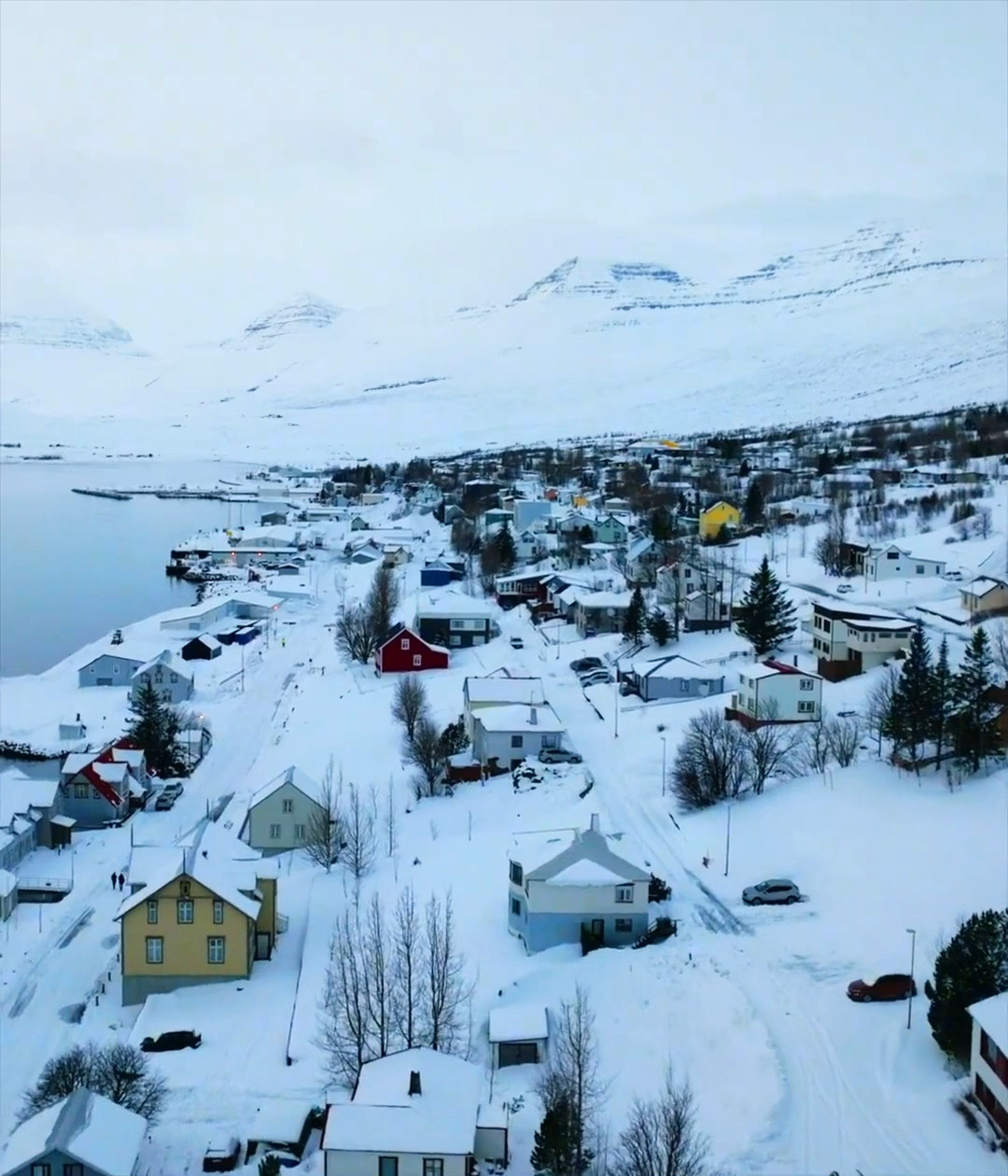 冰岛东峡湾的法国镇 除了风声 只有心跳 #旅行推荐官 #冰岛