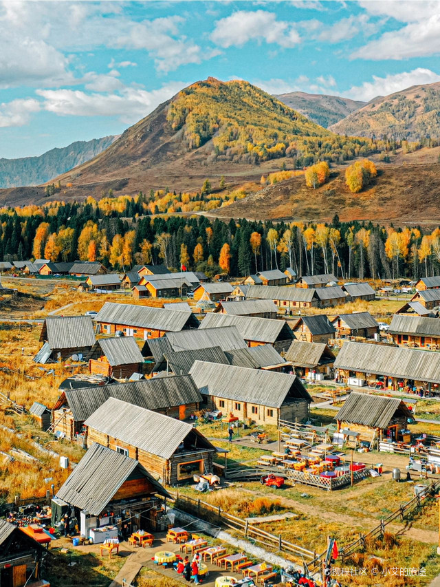 今年的乔木|美的像童话世界|打卡布尔津禾木风景区