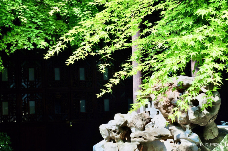 扬州逸圃:闹市街中的袖珍园林