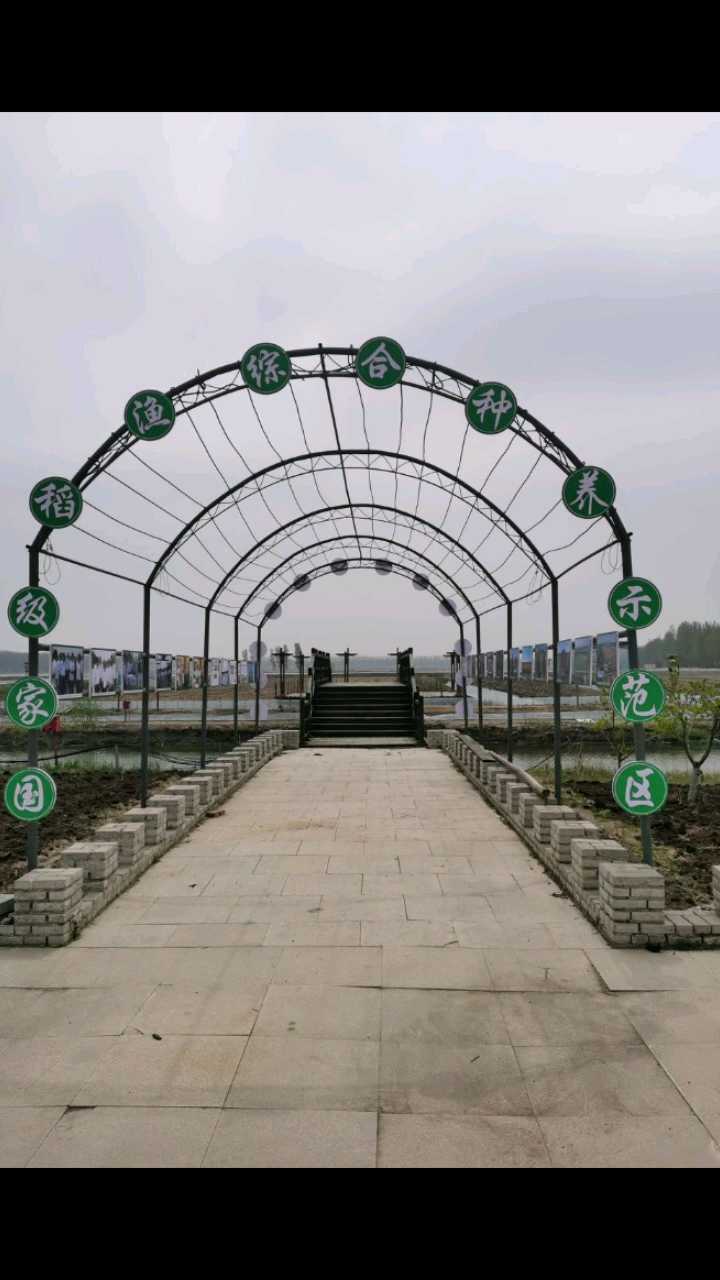 饶阳湖…生态园…纯绿色产业基地👍👍