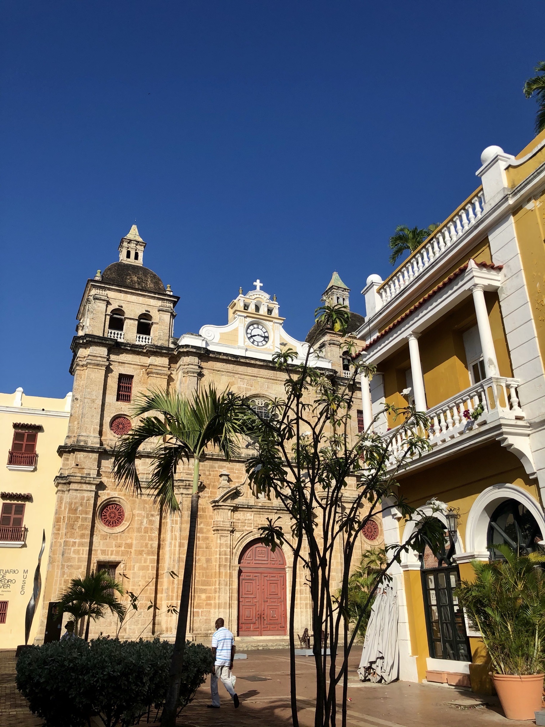 Cartagena 据说是拉美最美的城市