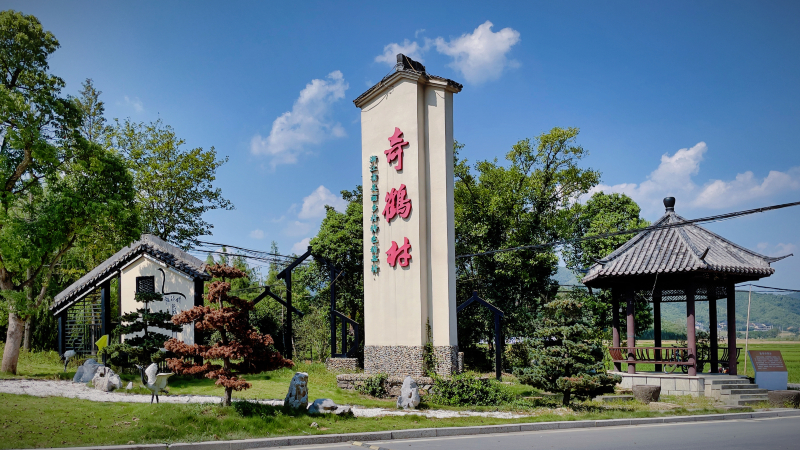 奇鹤面馆(瓶窑店)