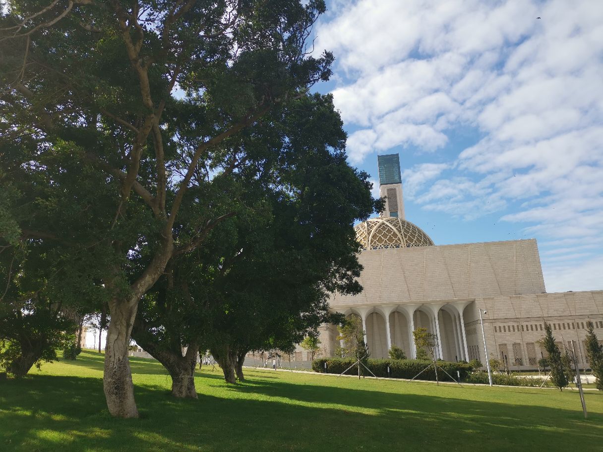 阿尔及利亚大清真寺