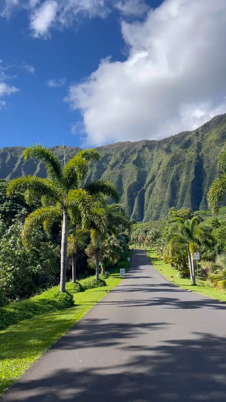 夏威夷植物园的超治愈仙境之路
