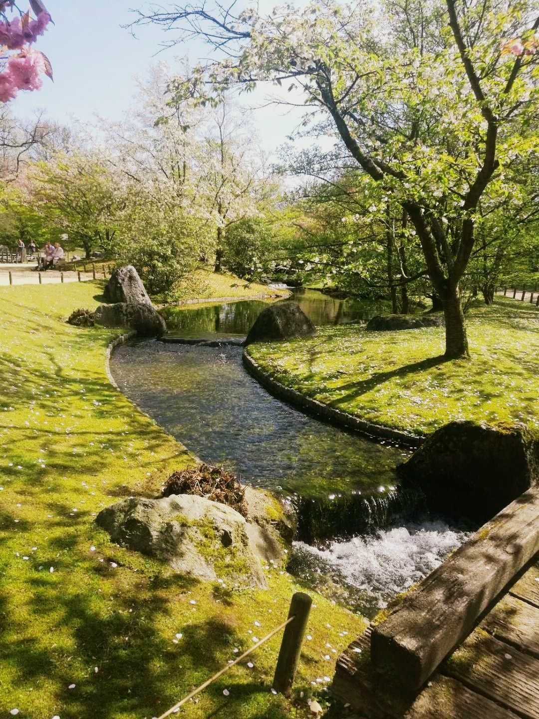 哈瑟尔特日本庭院。