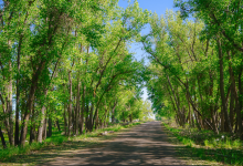 Rocky Mountain Arsenal National Wildlife Refuge景点图片