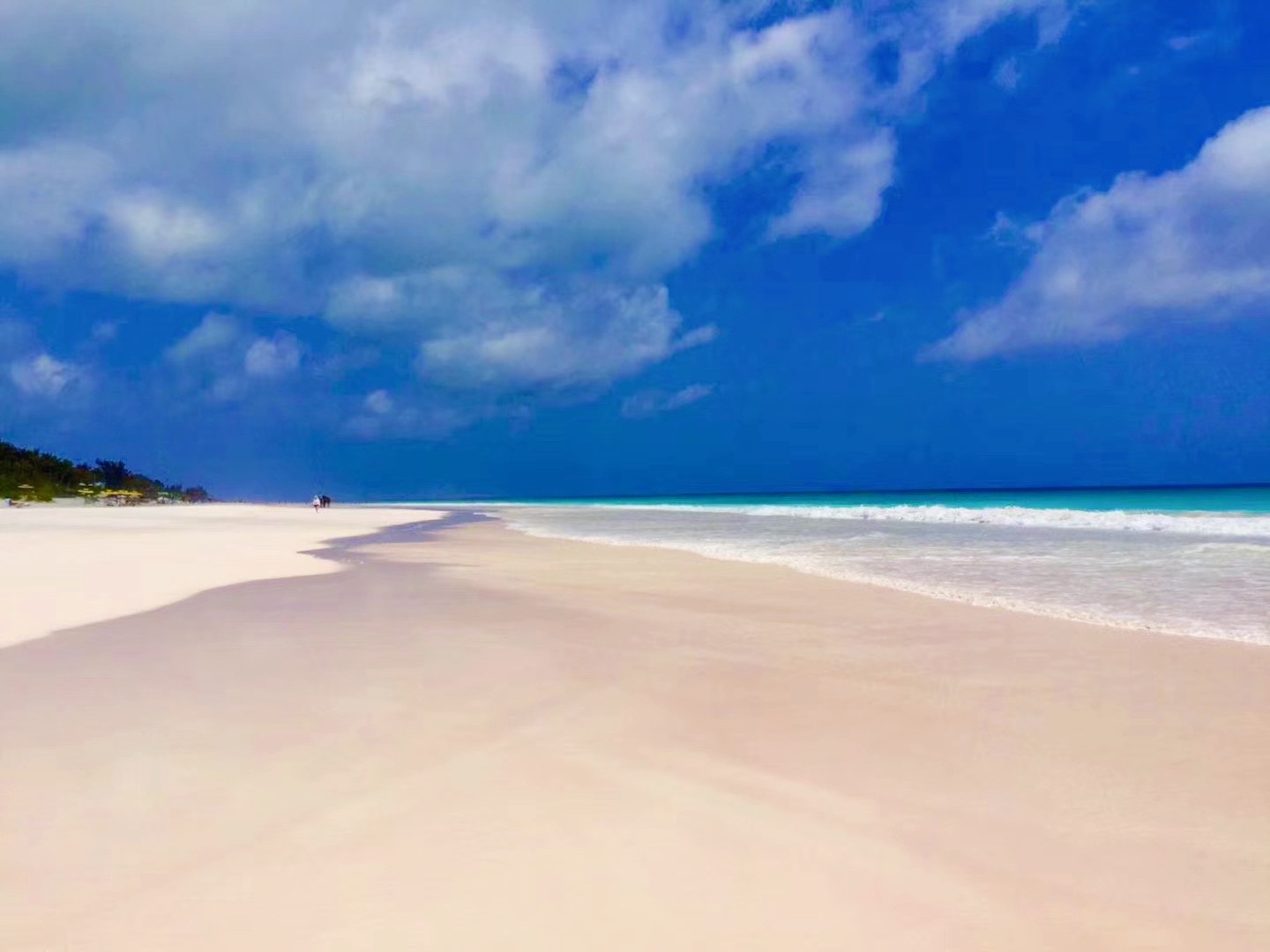 巴哈马的哈勃岛，世界上独一无二的粉红色沙滩。从拿骚坐船到哈勃岛，将近3个小时，票价135$。从码头到