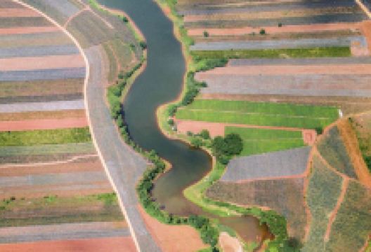菠萝的海景点图片