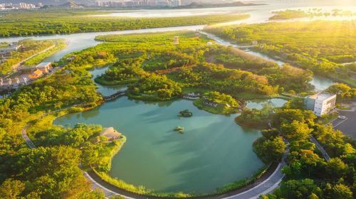 宝安西湾红树林公园