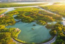 宝安西湾红树林公园景点图片