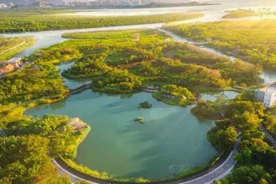 宝安西湾红树林公园