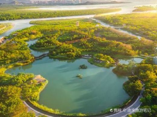 宝安西湾红树林公园