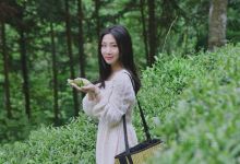 车八岭国家级自然保护区景点图片