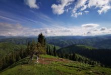 那拉提市场购物图片