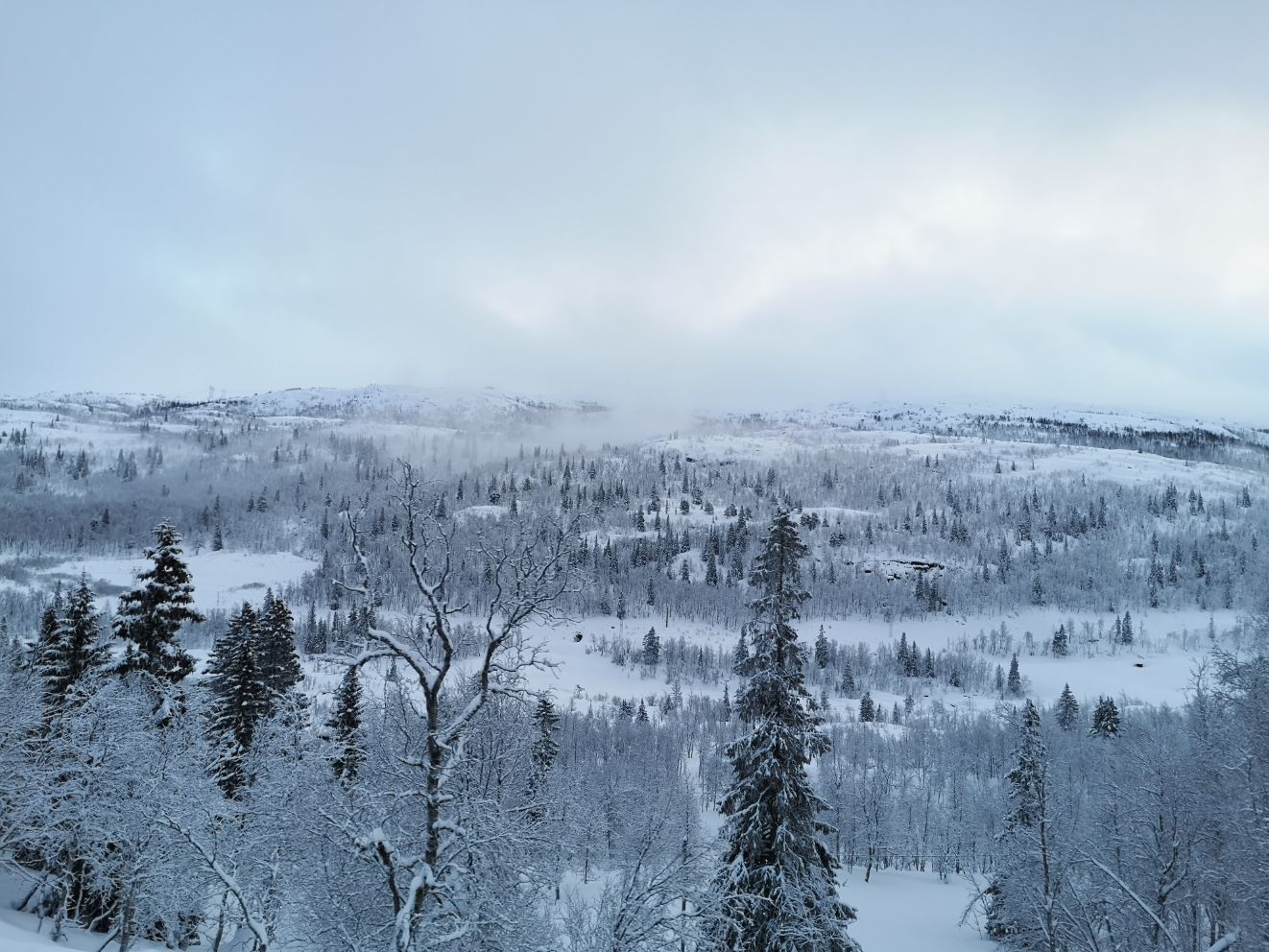 【爱雪发烧友之挪威雪景分享一童话里的世界