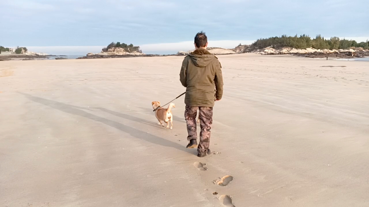 海岸溜狗