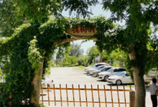 槐树洞景点图片