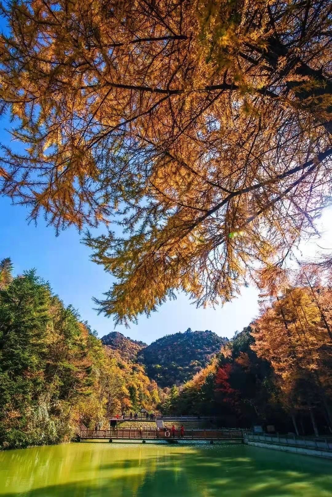 广元周边赏红叶圣地推荐，朝天曾家山！