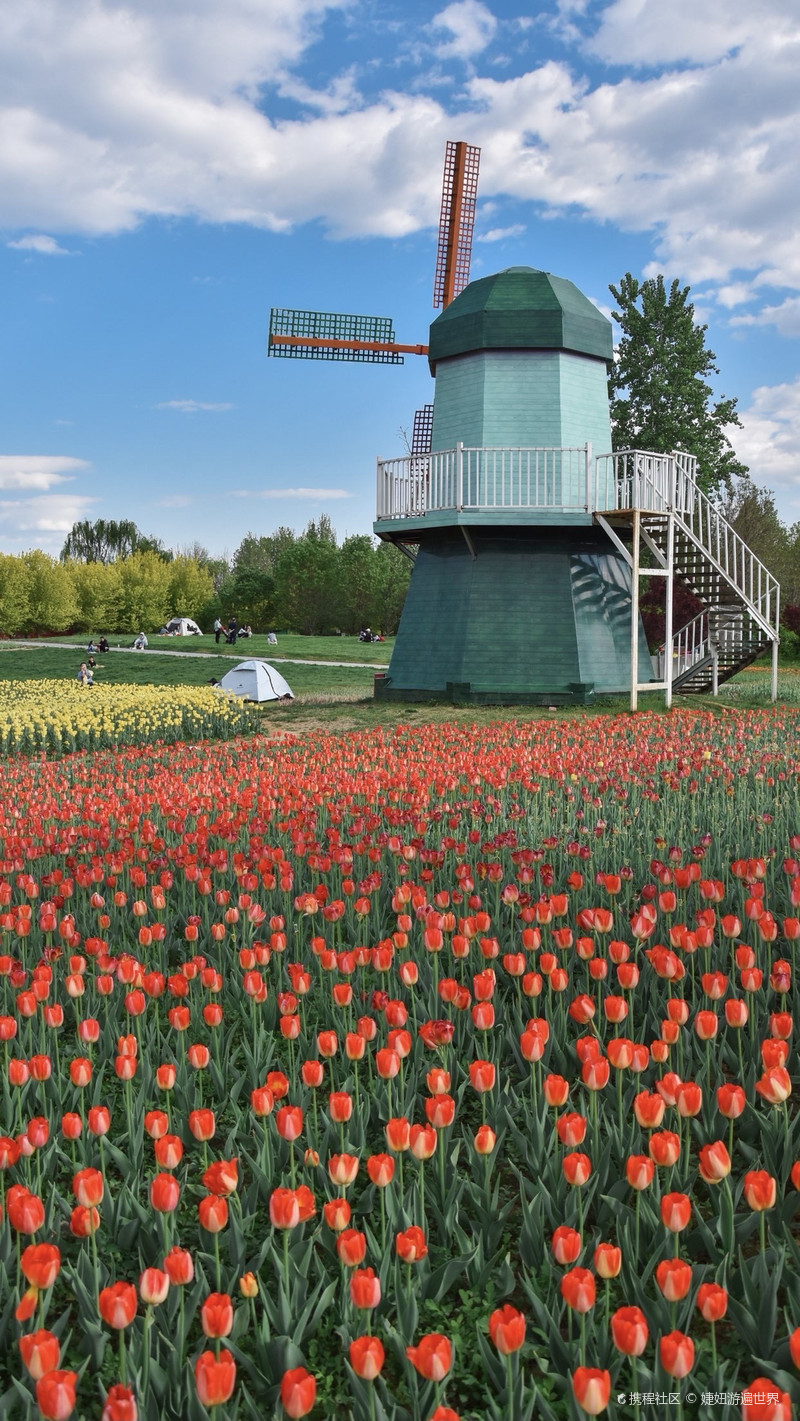 北京国际鲜花港