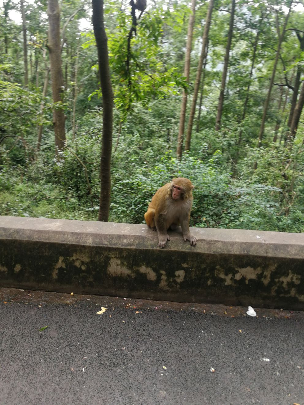 上山转一转，看一看。。。。 坏水