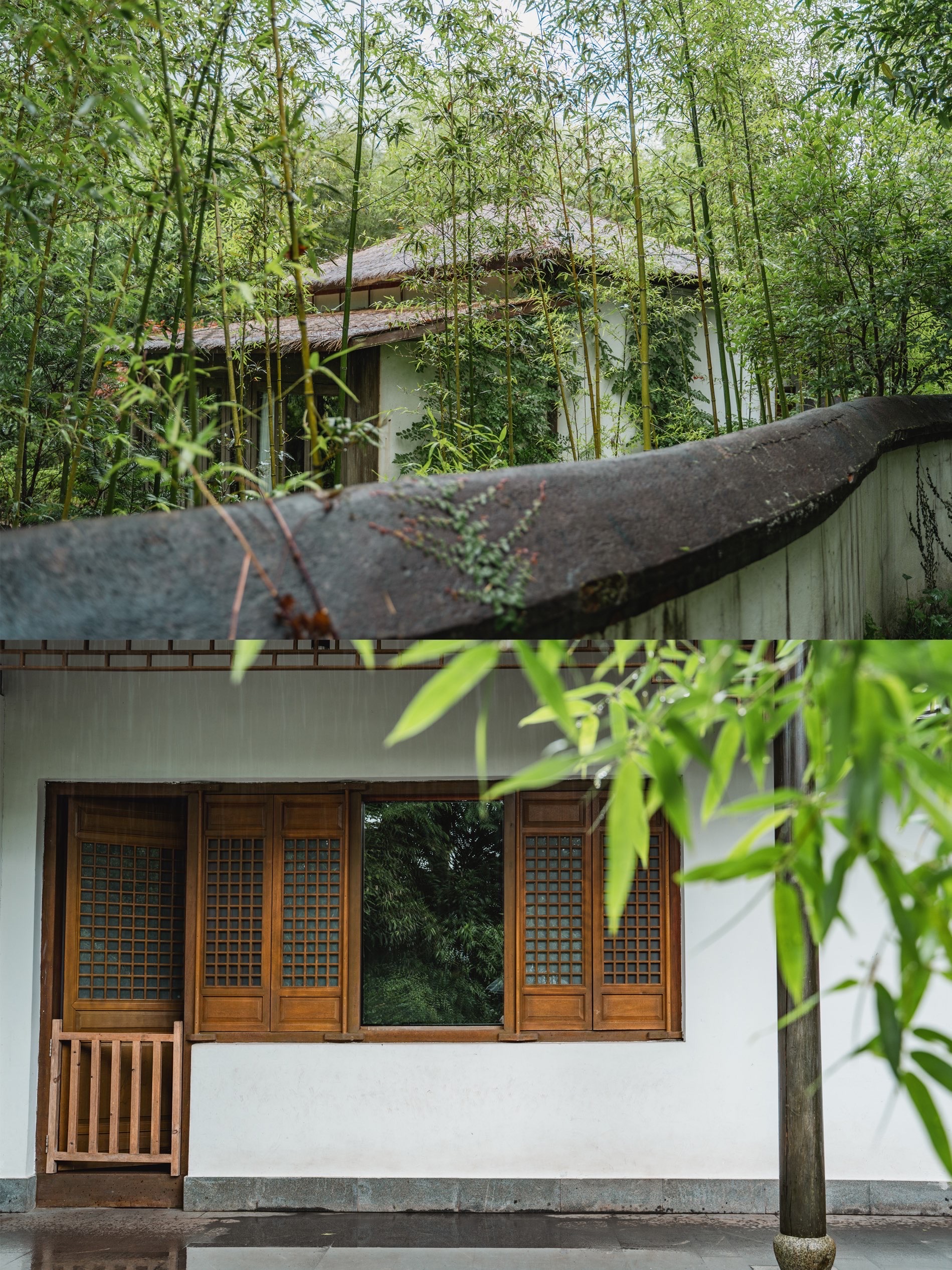 黄泥烧鸽子(上都路店)餐厅图片