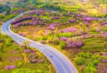 杖锡村景点图片