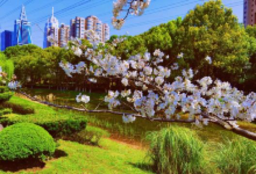 碧云体育公园景点图片